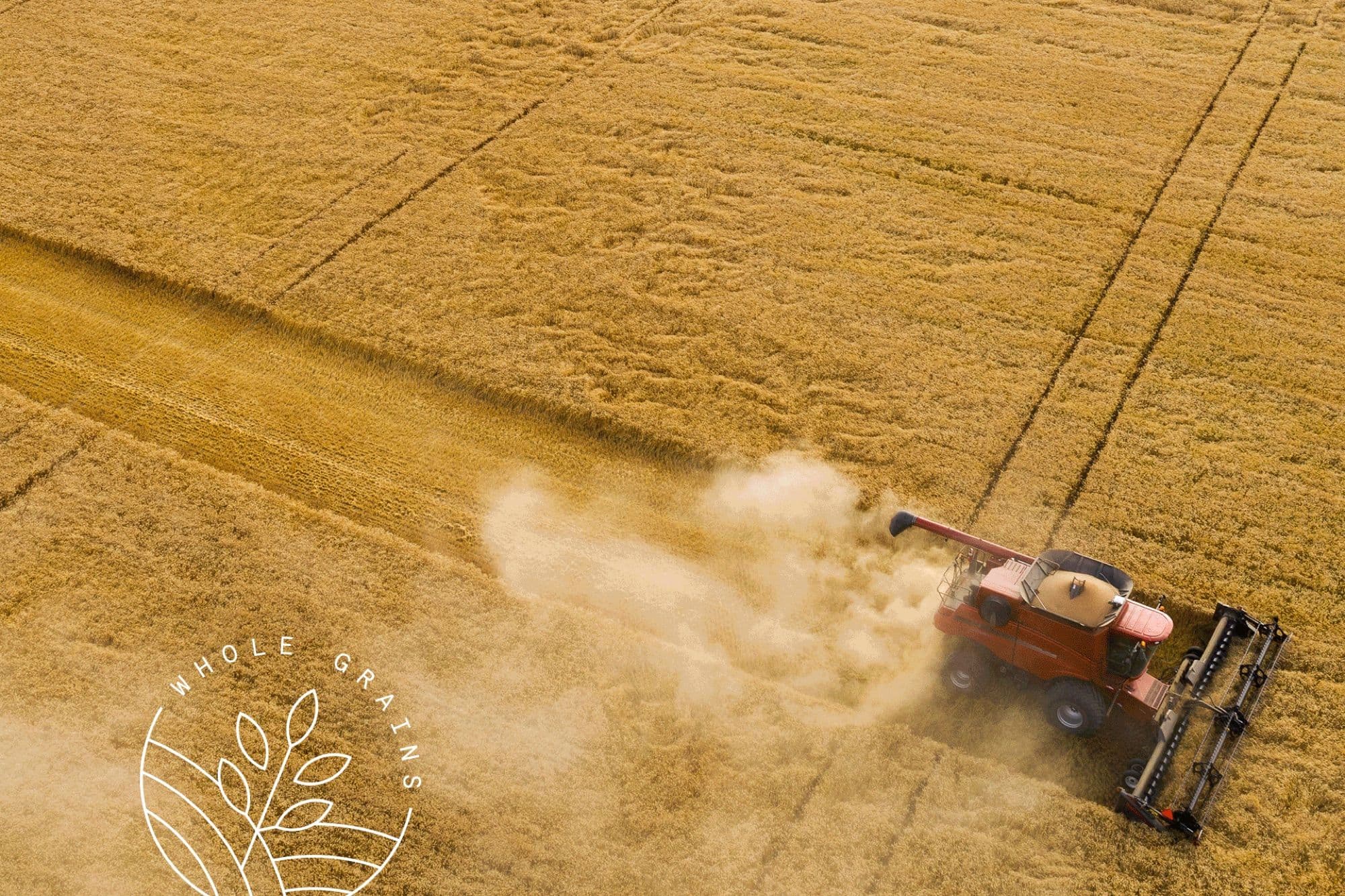 Quaker key art