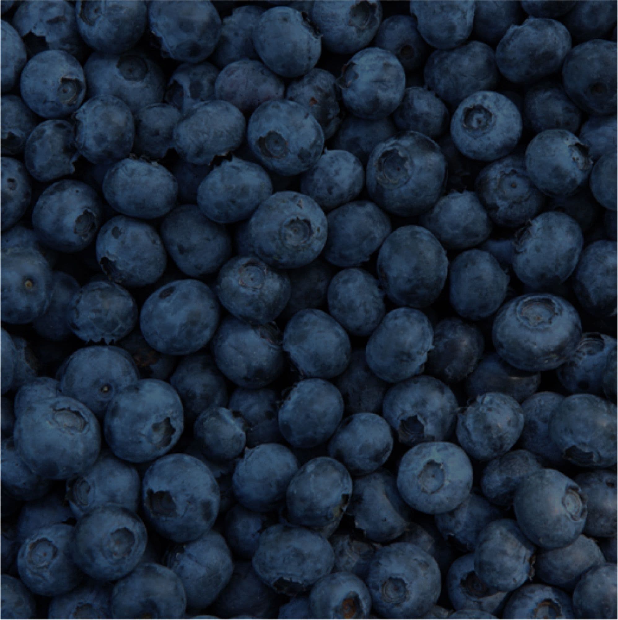 Quaker Instagram campaign, blueberries